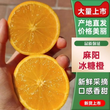 【冰糖橙】湖南基地直供质量上乘规格齐全量大优惠欢迎订购