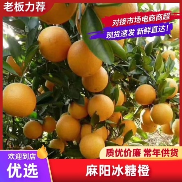 【冰糖橙】湖南麻阳基地直供质量保证货源充足全国发货