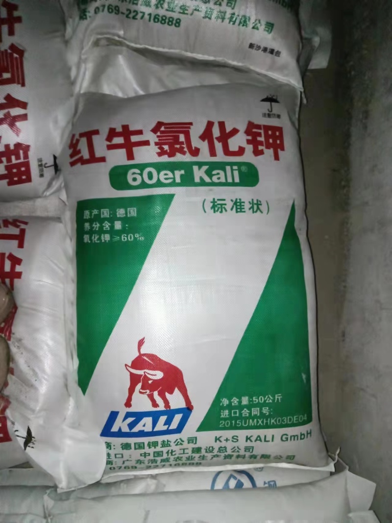 钾氯化钾品质保证厂家直供红钾白钾颗粒