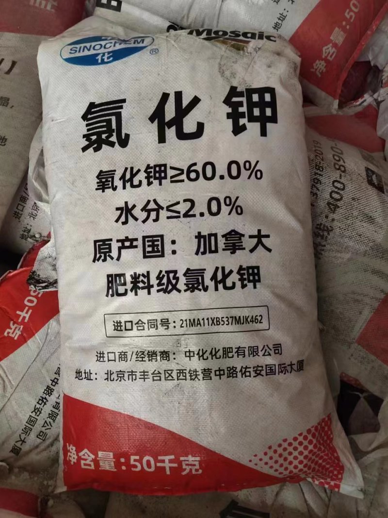 钾氯化钾品质保证厂家直供红钾白钾颗粒