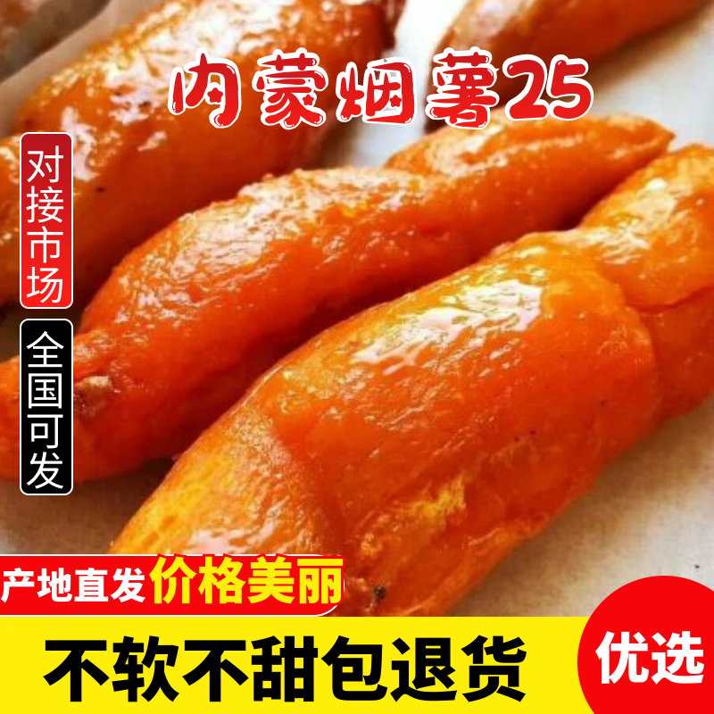 烟薯蜜烤红薯烟薯25内蒙赤峰基地货规格齐全货源足