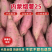 烟薯25烤红薯专用，口感香甜，质量问题免费补发售后无忧！