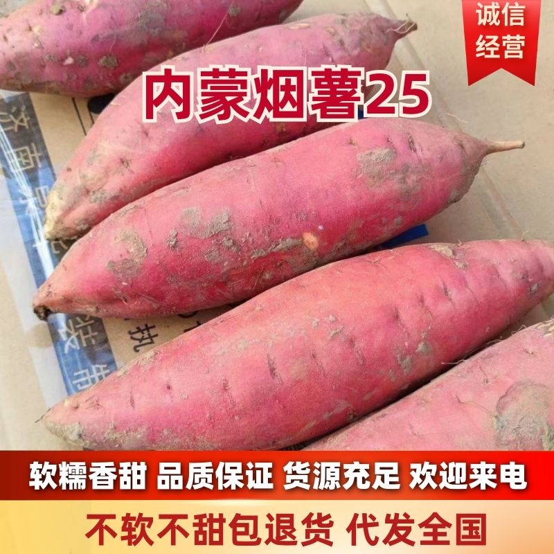 河北烟薯25烟薯烤红薯专用薯自营基地，全年供应