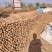 宁夏白玉山药对接市场电商市场一手货源保证质量