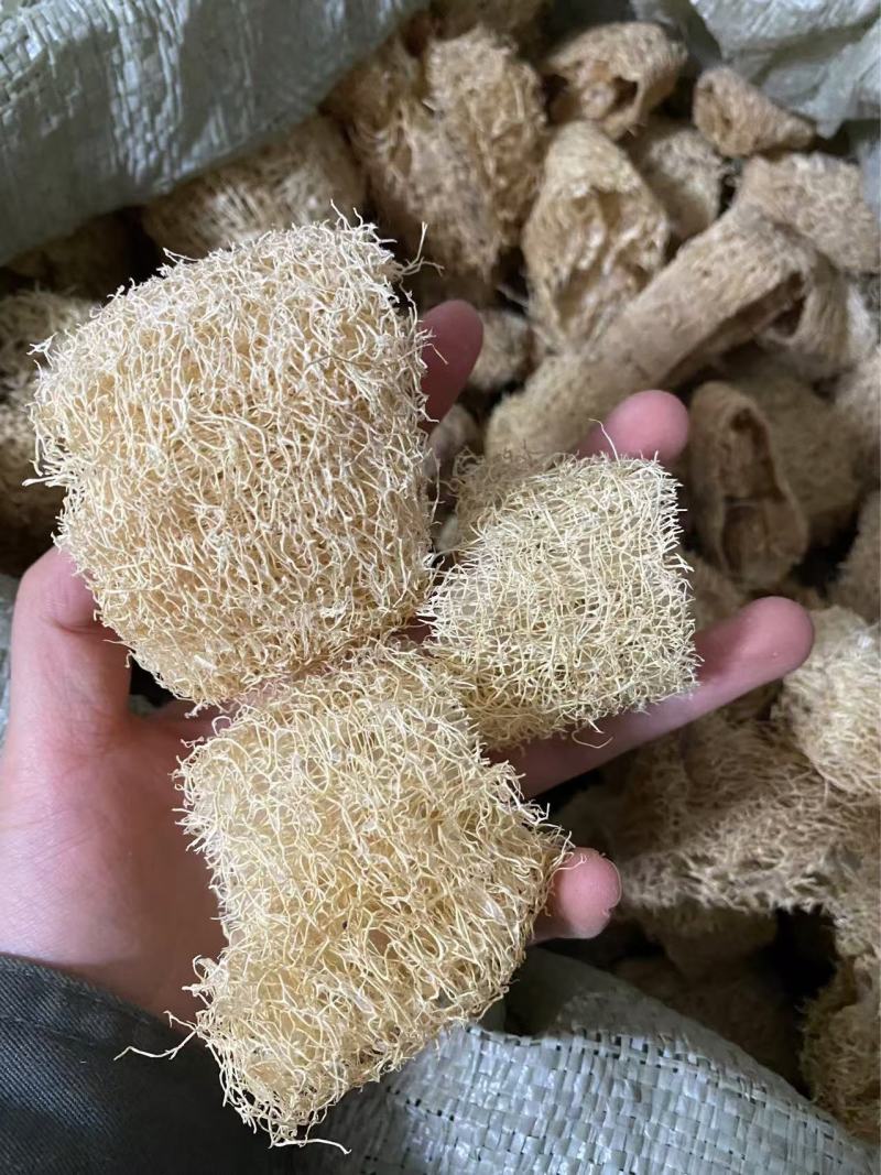 丝瓜络产品实拍质量保障现货供应