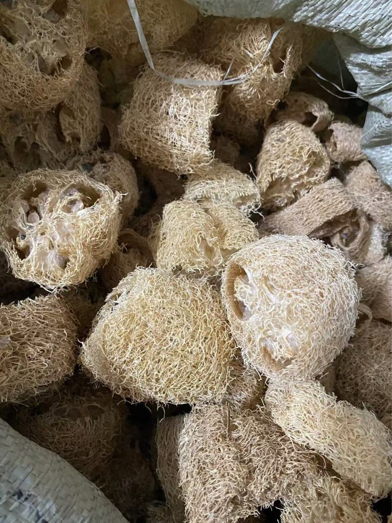 丝瓜络产品实拍质量保障现货供应