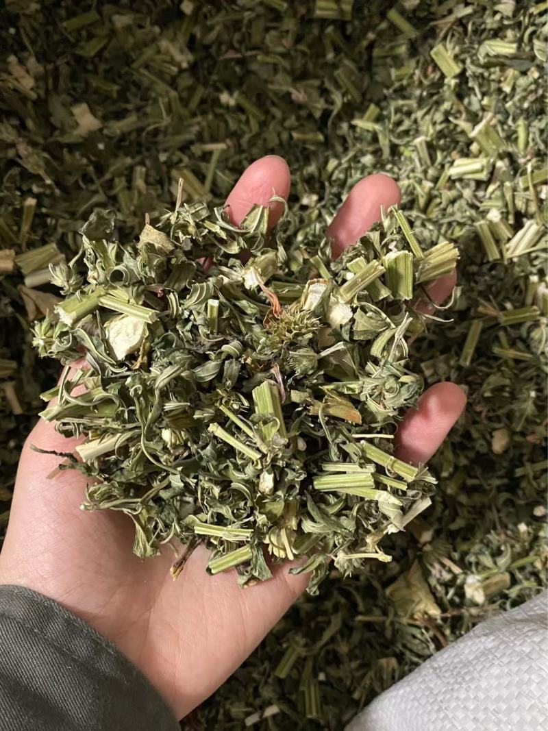 益母草产品实拍干货量大从优