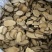 泽泻产品实拍一件代发质量保障