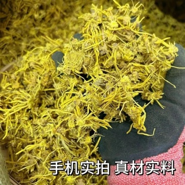 雪灵茶金龙根黄龙根一件代发量大从优