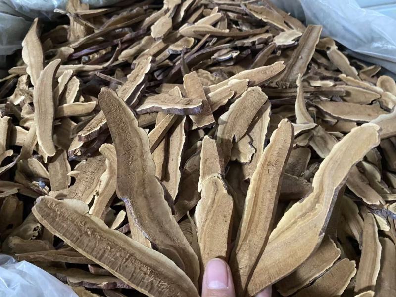 灵芝片产品实拍质量保障