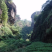 陈茶陈年大红袍茶叶二十年陈茶珍藏20年茶自
