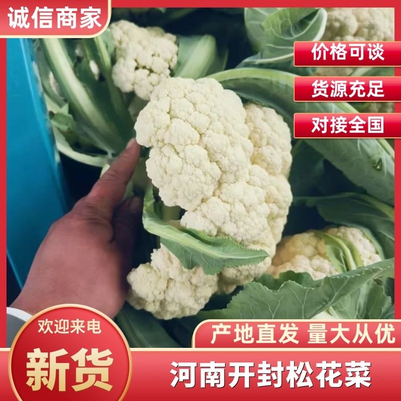 【新鲜】河南精品松花菜，青梗白面小米粒，耐运输，价格优