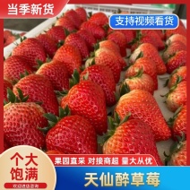 安徽精品天仙醉草莓基地直发品质保证一手货源