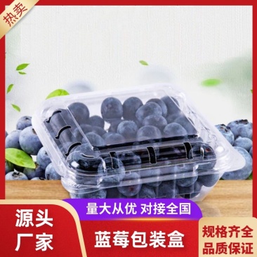 包装盒蓝莓包装盒工厂直发量大从优欢迎来电咨询
