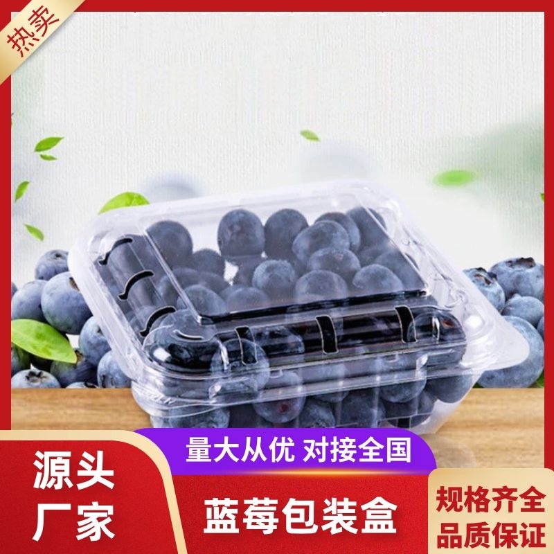 包装盒蓝莓包装盒工厂直发量大从优欢迎来电咨询