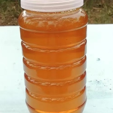 野蜂蜜大量现货产地直发一手货源欢迎沟通