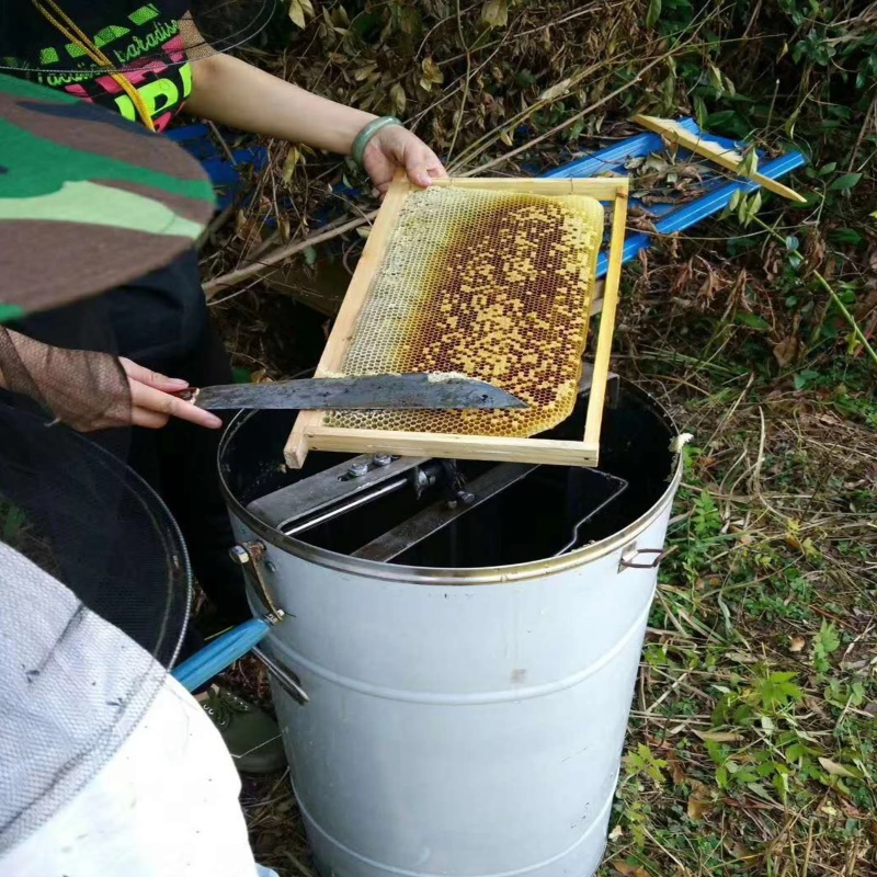 野蜂蜜大量现货产地直发一手货源欢迎沟通