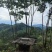野蜂蜜大量现货产地直发一手货源欢迎沟通