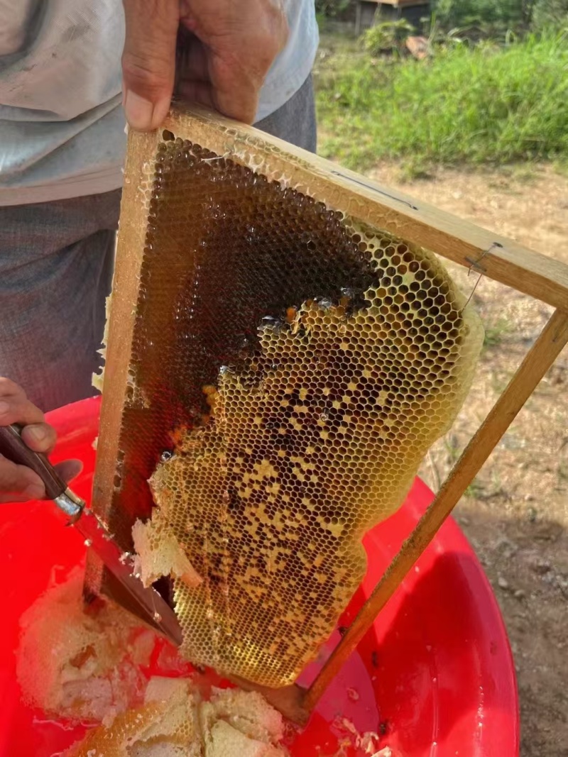 野蜂蜜大量现货产地直发一手货源欢迎沟通