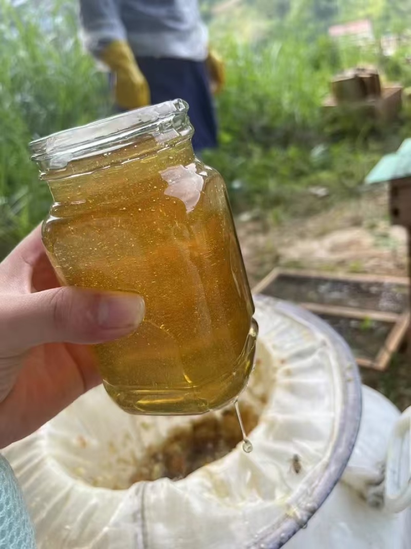 野蜂蜜大量现货产地直发一手货源欢迎沟通