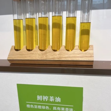 高山山茶油大量现货产地直发一手货源欢迎沟通