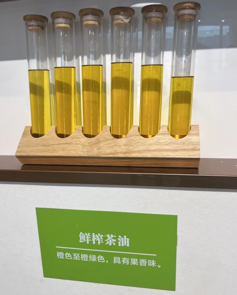 高山山茶油大量现货产地直发一手货源欢迎沟通