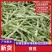 芸豆山东芸豆精品芸豆大量供货，品质保障量大从优欢迎咨询