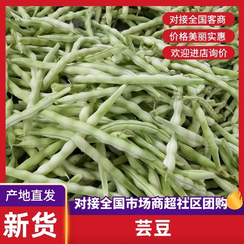 芸豆山东芸豆精品芸豆大量供货，品质保障量大从优欢迎咨询