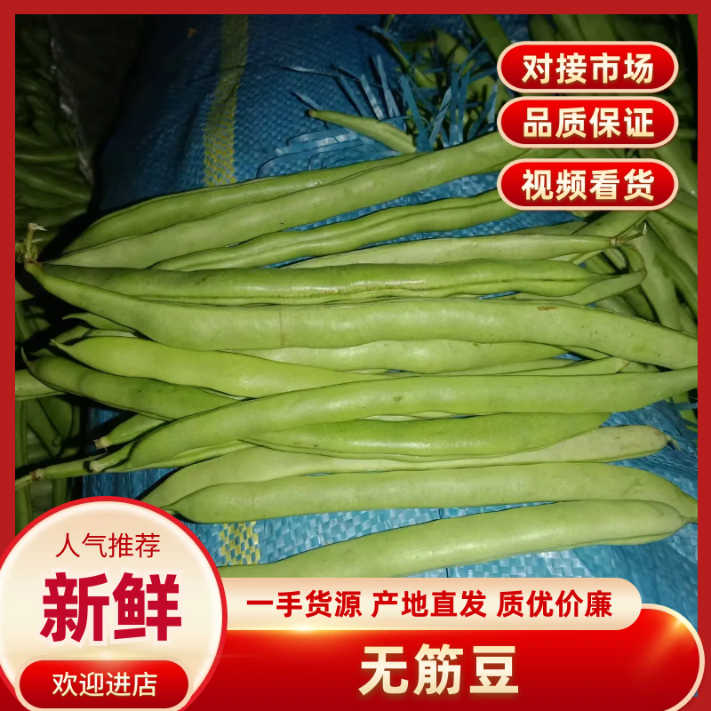 云南无筋豆四季豆产地一手货源供应全国电商市场