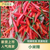 【精品】小米辣产地直发，量大优惠，欢迎采购品质高