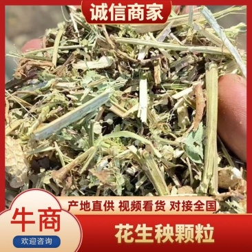 河南花生秧，优质花生秧产地直发，保质保量，无土，无膜