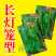 久保田999辣椒种子早熟大果薄皮味辣绿皮坐果能力强