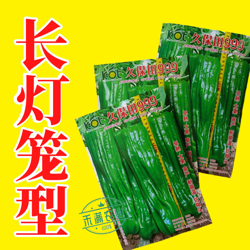 久保田999辣椒种子早熟大果薄皮味辣绿皮坐果能力强