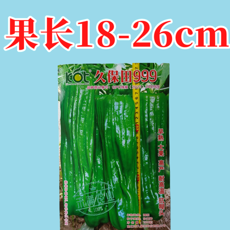 久保田999辣椒种子早熟大果薄皮味辣绿皮坐果能力强