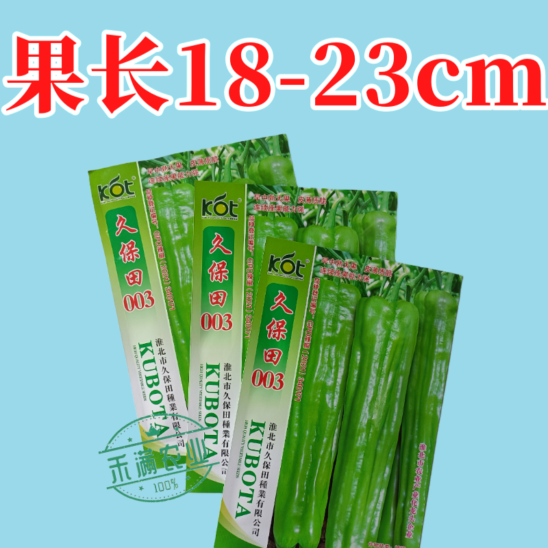久保田003薄皮辣椒种子芜湖椒大果型杂交辣椒种子