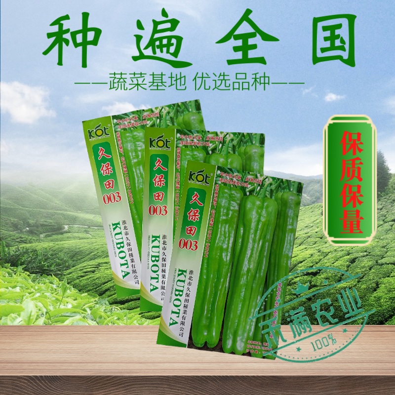 久保田003薄皮辣椒种子芜湖椒大果型杂交辣椒种子