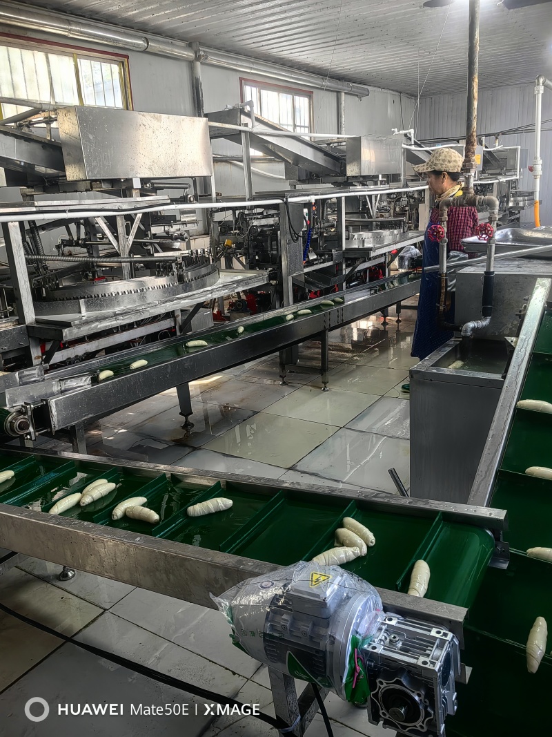山东精品面筋串烤面筋串厂家直销品质保证规格齐全