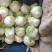 河南白菜黄心白菜产地一手货源品质保障量大优惠
