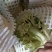 松花菜菜花产地直供一手货源品质保障