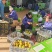 红香酥梨山西运城梨产地直发品质保障对接全国市场