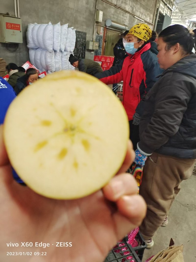 红富士苹果山西运城苹果产地一手货源口感脆甜量大从优