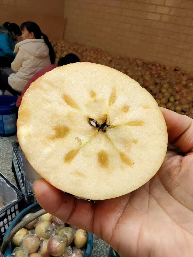 红富士苹果山西运城苹果产地一手货源口感脆甜量大从优