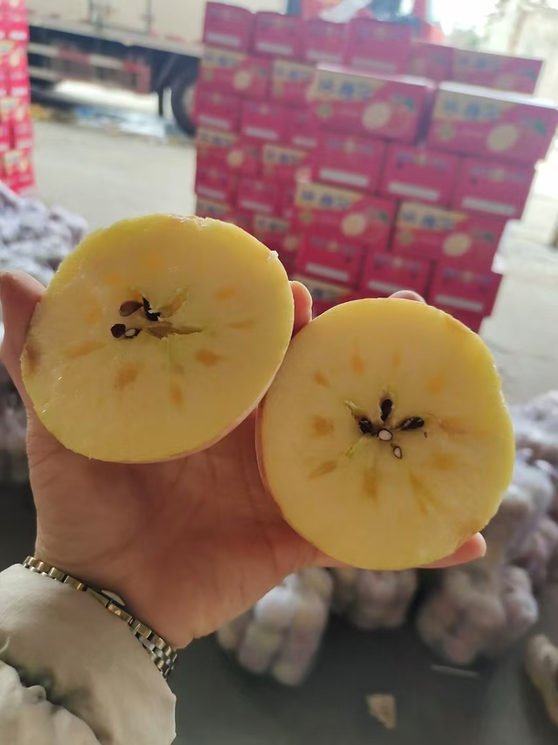 红富士苹果山西运城苹果产地一手货源口感脆甜量大从优
