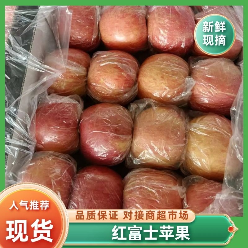红富士苹果山西运城苹果产地一手货源口感脆甜量大从优
