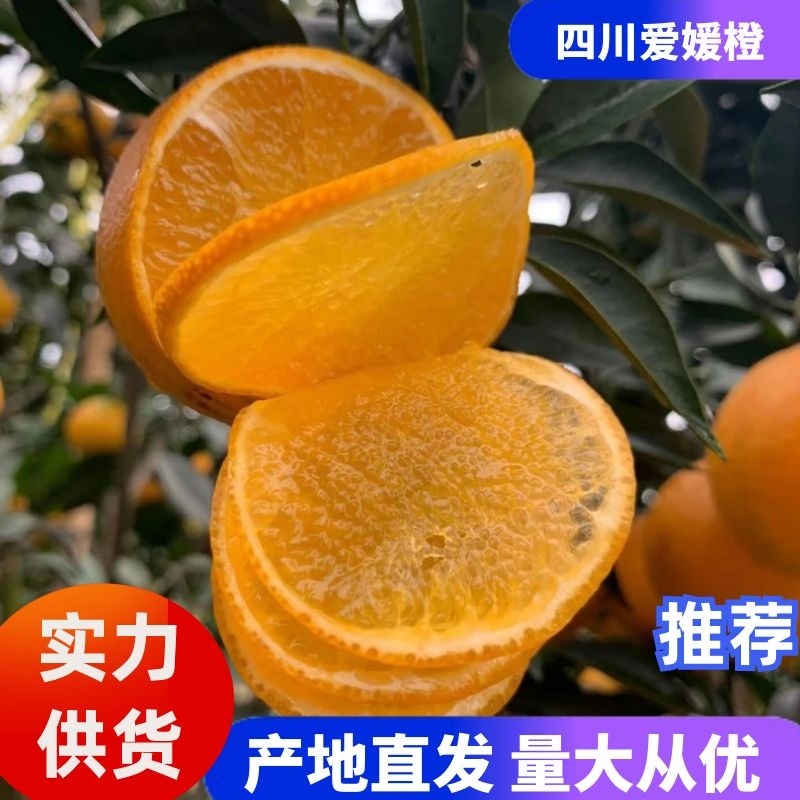 爱媛橙爱媛38号果冻橙货品充足产地直发提供一条龙服务