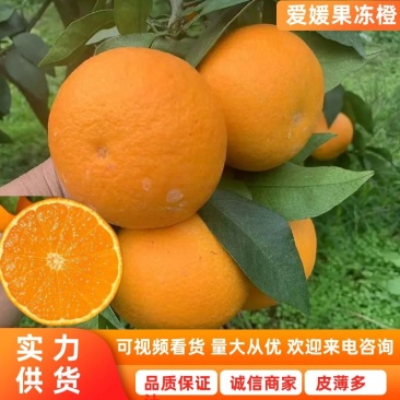 四川橙子爱媛橙爱媛38现摘现发一手货源全国代发