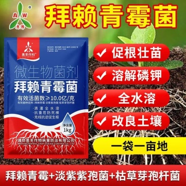 奥潍拜赖青霉菌淡紫紫孢菌枯草芽孢杆菌农用微生物菌剂改土壤