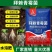 奥潍拜赖青霉菌淡紫紫孢菌枯草芽孢杆菌农用微生物菌剂改土壤