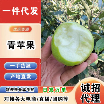 山西青苹果一件代发产地直发一手货源对接各大电商平台