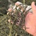 架豆王干豆角脱水干豆角一级二级三级规格齐全价格实惠欢迎
